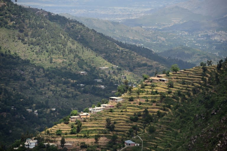 The Swat valley of Khyber Pakhtunkhwa in northwest Pakistan, where previously arid hills are now covered with forest as far as the horizon