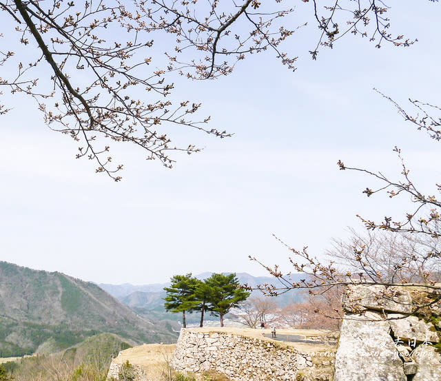 【日本100名城】【山陰兵庫縣】竹田城跡 天空之城