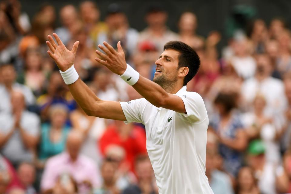 Se terminó el año para Djokovic