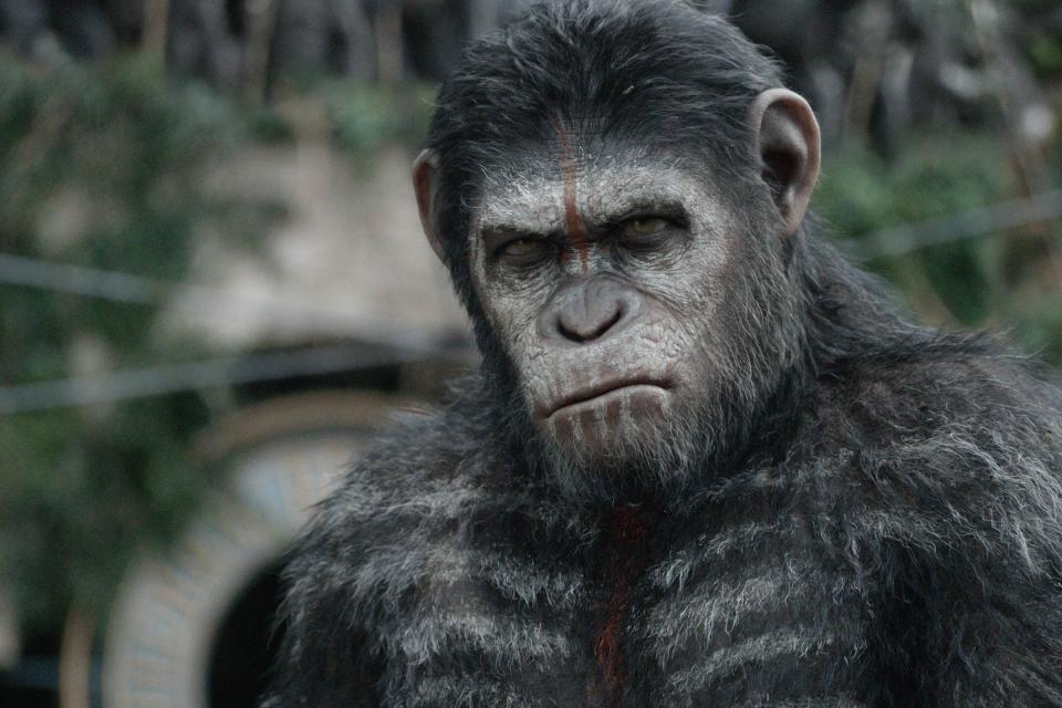 <strong>8. <i>Dawn of the Planet of the Apes</i> - $208,545,589</strong>