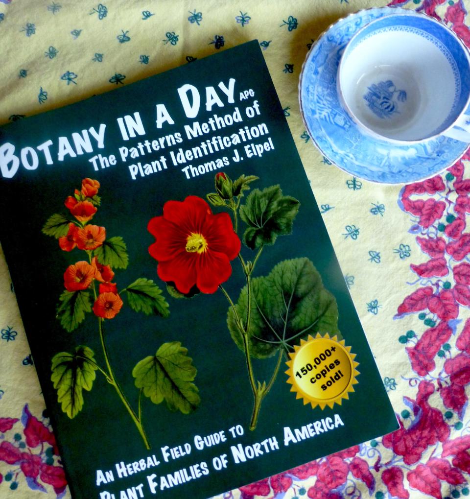 Horticulturists and botanists may be interested in “Botany n a Day”, a tutorial in plant classification systems. Plant lovers interested in the identifying characteristics of plant families may want to add this book to their library.
