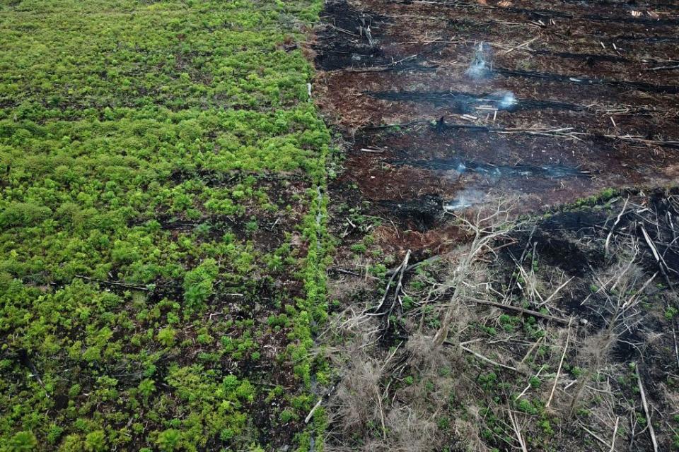 This aerial photo taken on March 3, 2018 shows a protected area of the Rawa Singkil wildlife reserve as part of the Leuser Ecosystem in Trumon, South Aceh, which is being burnt in preparation for the opening of a new palm oil plantation. Source: JANUAR/Getty