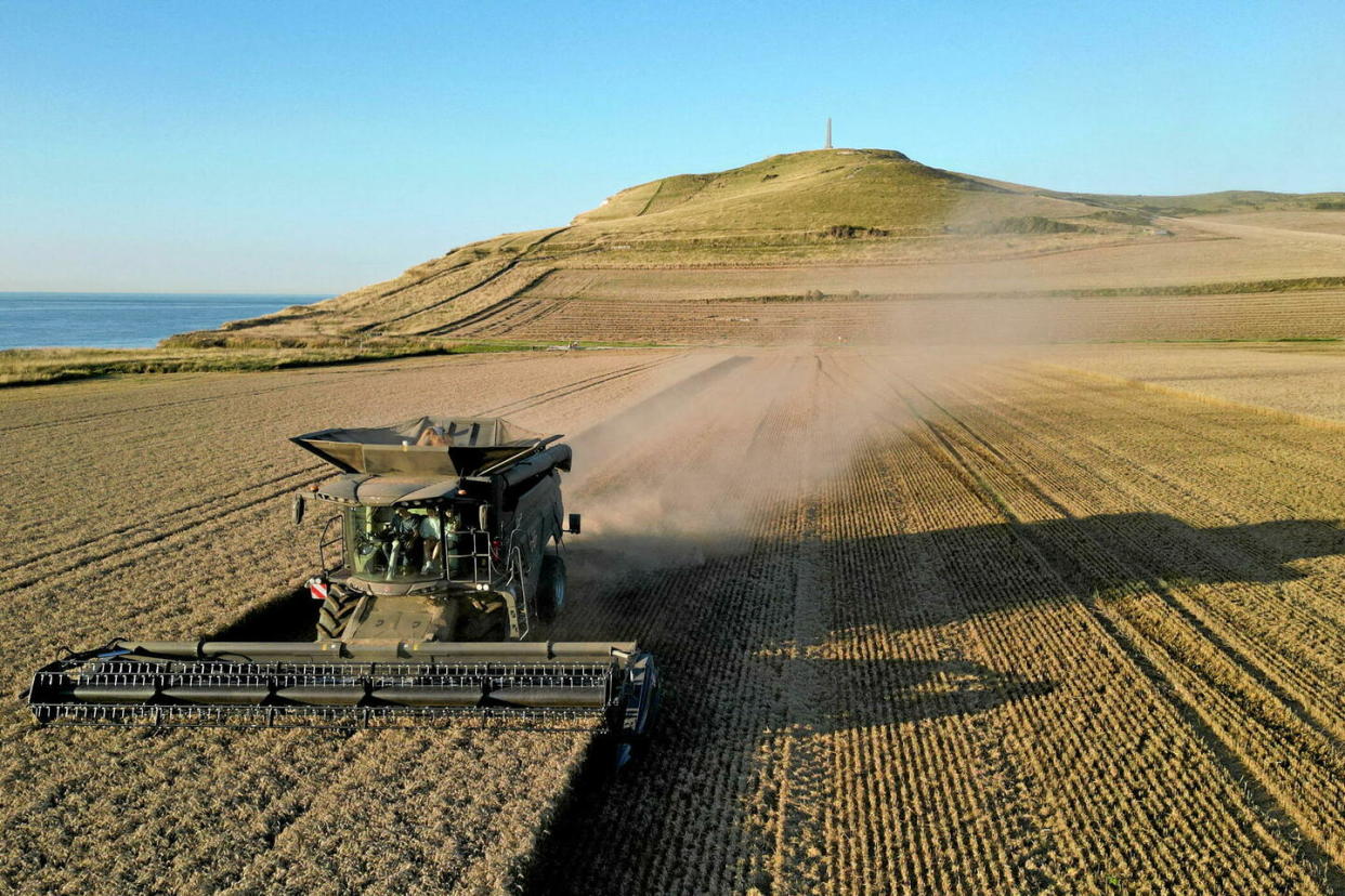 Récolte de blé à Escalles, près de Calais, en août 2023.  - Credit:Pascal Rossignol/Reuters