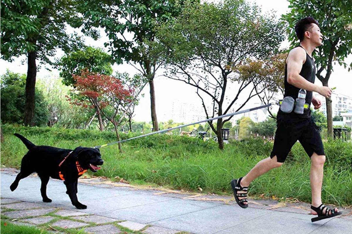 Neo Emporo - Correa Manos Libres para Pasear Perros. Correa Elástica de Resistencia para Deporte, Incluye Cangurera/Estuche y Porta Bote/Amazon.com.mx