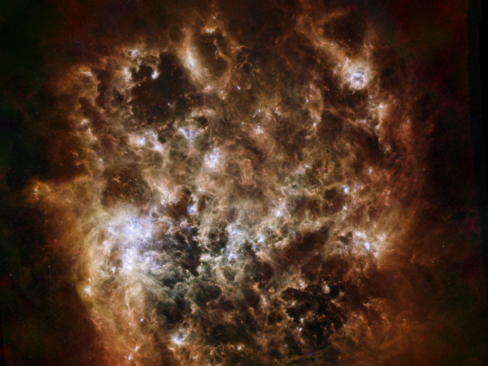 Tarantula nebula