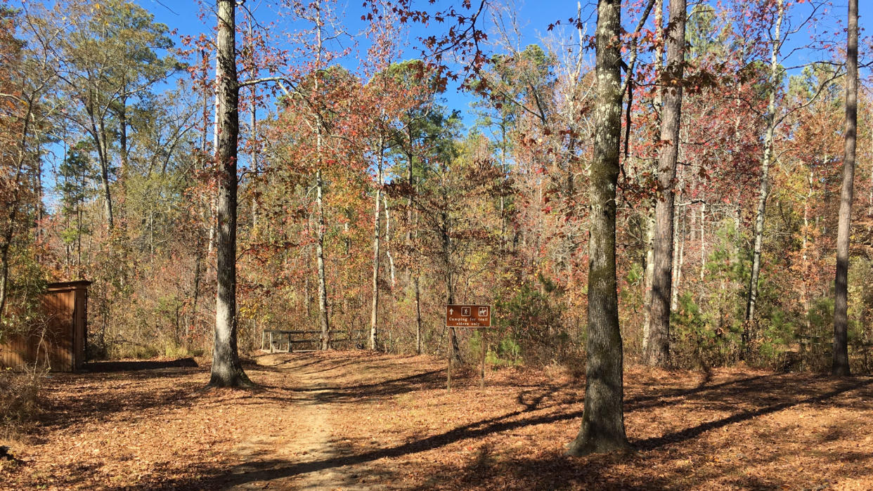 Witch Dance Horse Trail trailhead along the Natchez Trace Parkway - Image.