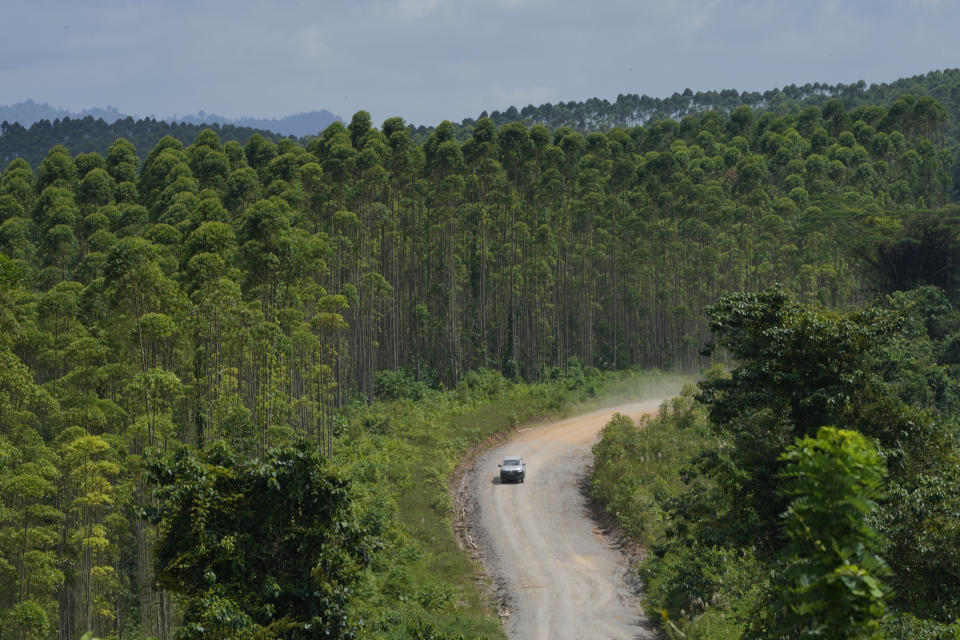 A car cruises on a dirt road at the construction site of the new capital city in Penajam Paser Utara, East Kalimantan, Indonesia, Wednesday, March 8, 2023. Indonesia began construction of the new capital in mid 2022, after President Joko Widodo announced that Jakarta — the congested, polluted current capital that is prone to earthquakes and rapidly sinking into the Java Sea — would be retired from capital status. (AP Photo/Achmad Ibrahim)