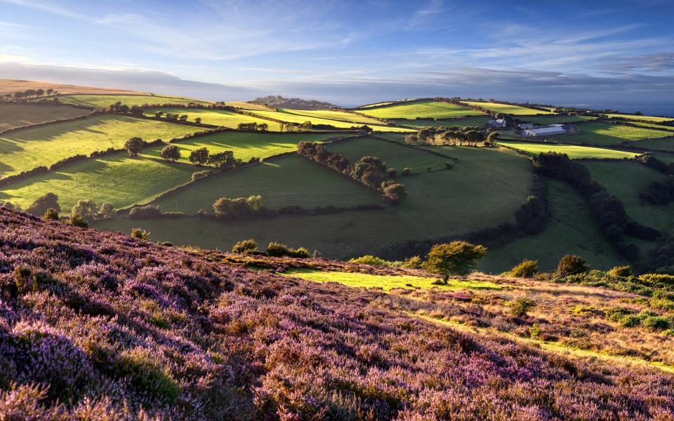 The rolling hills near Porlock - ©2015 Martyn Ferry