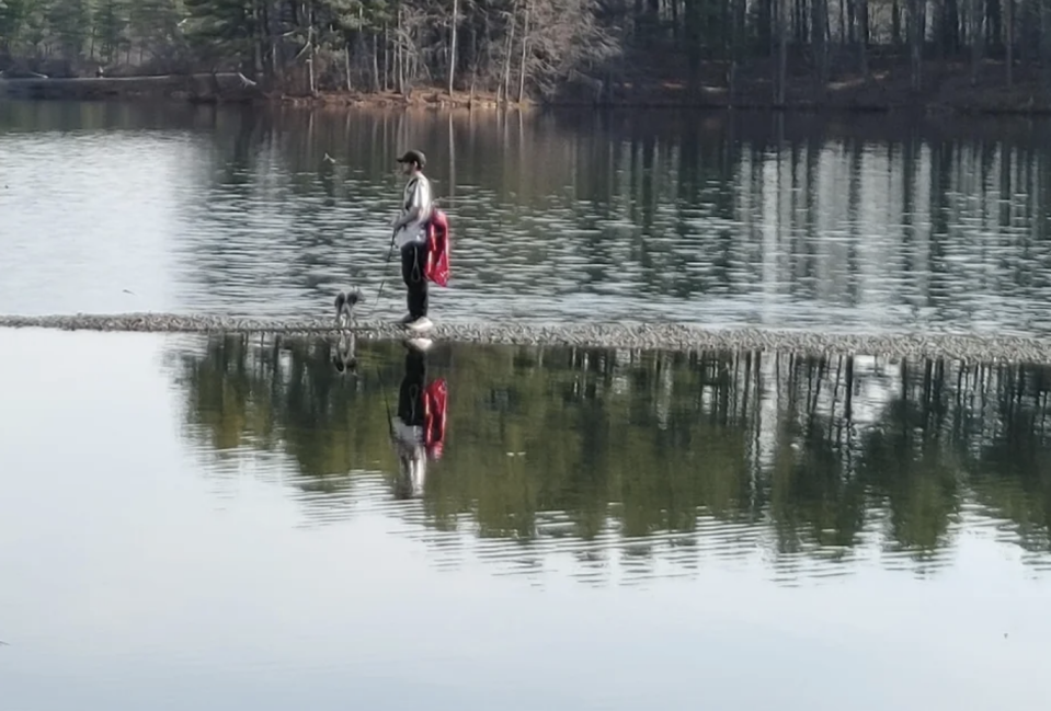 A person taking photos with their dog in a reservoir