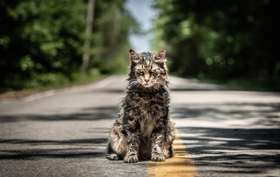 <p><strong>IMDb says: </strong>Dr. Louis Creed and his wife, Rachel, relocate from Boston to rural Maine with their two young children. The couple soon discover a mysterious burial ground hidden deep in the woods near their new home.</p><p><strong>We say:</strong> Nice moggy part II.</p><p><strong><strong>Where can I watch it? </strong></strong>Netflix</p>