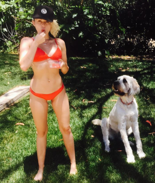 <p>#NationalBikiniDay? Whatevs. These stars celebrate their beach bodies more than once a year. Here’s Miley Cyrus marking the star of summer — with Liam Hemsworth’s giant dog, Dora the Explorer — in an itty bitty red bikini. (Photo: <a rel="nofollow noopener" href="https://www.instagram.com/p/BVnfZ9kBLwe/?hl=en" target="_blank" data-ylk="slk:Miley Cyrus via Instagram;elm:context_link;itc:0;sec:content-canvas" class="link ">Miley Cyrus via Instagram</a>) </p>