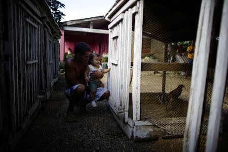 Yusiel Fernandez, 33, shows a rooster to his one-year old daughter at a house yard in Moron, central region of Ciego de Avila province, Cuba, February 13, 2017. REUTERS/Alexandre Meneghini