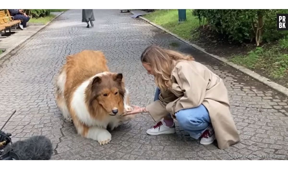 Un youtubeur japonais devient un chien et fait halluciner tout le monde - Youtube, Je veux être un animal