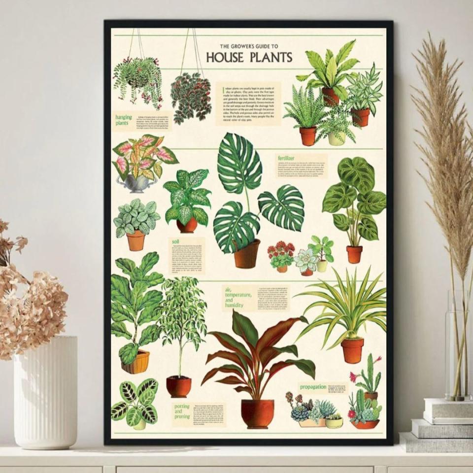 Part educational and part decorative, this poster features care information for house plants and vintage textbook-like imagery. It's available in three sizes (frame not included).You can buy this house plant poster from Etsy for around $22.
