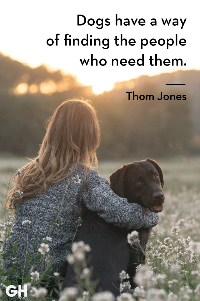 50 Dog Quotes That'll Inspire You to Hug Your Pup a Little Tighter