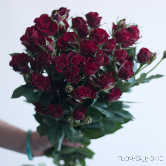 17 Rose Color Meanings to Help You Choose the Perfect Bouquet in 2024