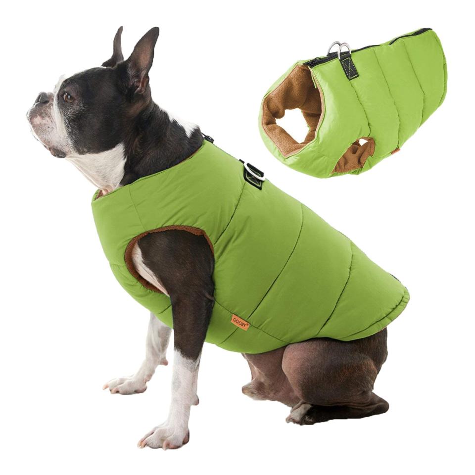 gooby-padded-dog-vest-for-small-dogs