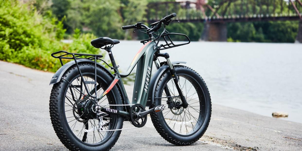 best fattire electric bikes