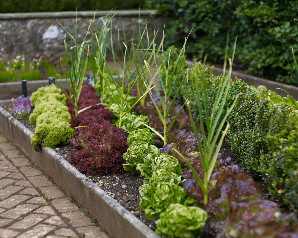 DESIGN RAISED BEDS CONTAINERS TO SUIT YOUR SPACE PERFECTLY