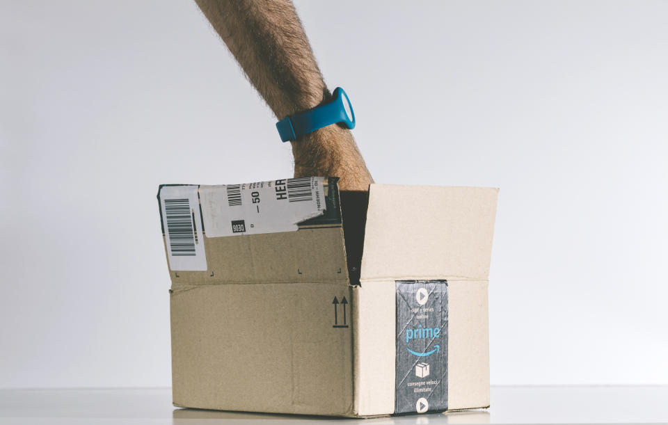 Paws belong on Amazon Prime Day merch, not on your valuable personal information. (Photo: Getty)