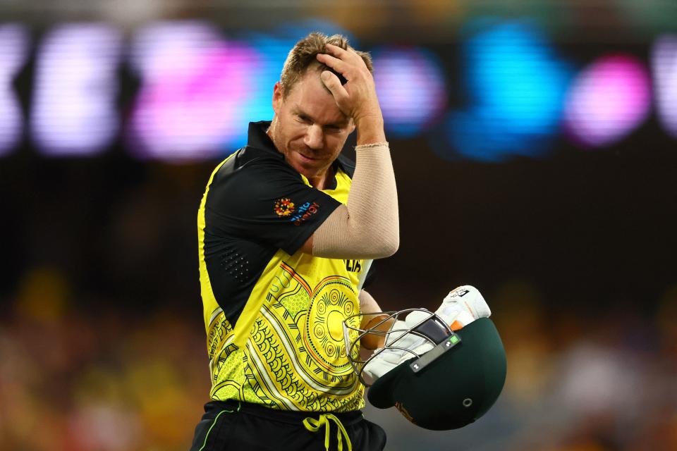 David Warner (pictured) walks off the field after his dismissal.