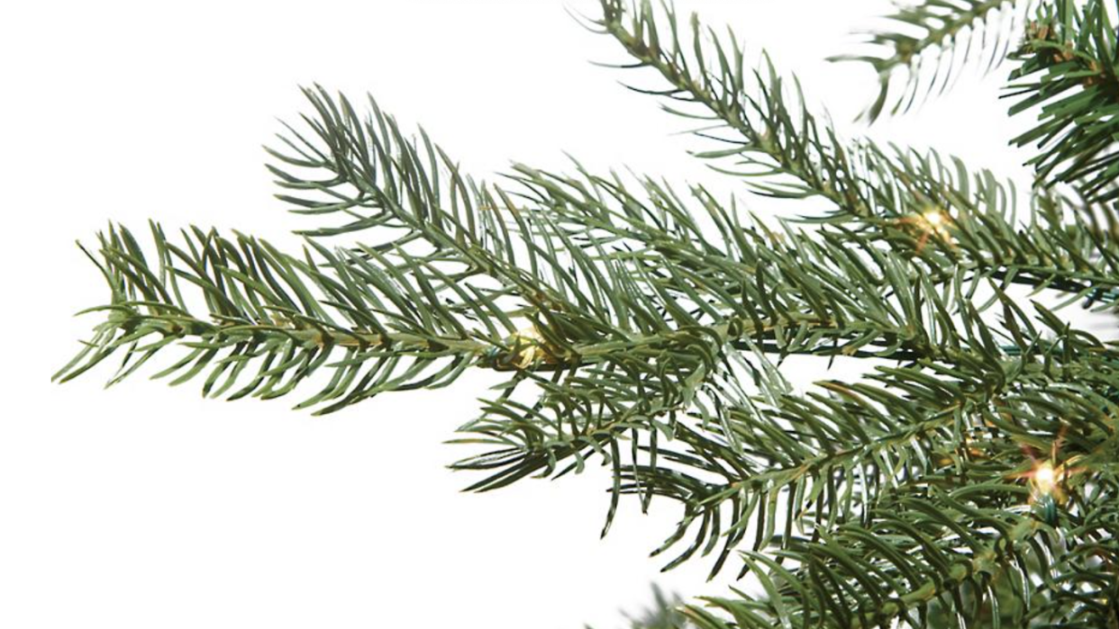 types of christmas trees, grand fir tree branches