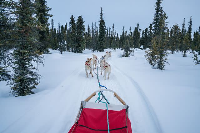 <p>Fantastic Geographic/Getty Images</p>