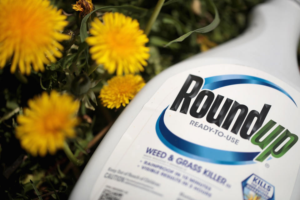CHICAGO, ILLINOIS - MAY 14: Roundup weed killer is shown on May 14, 2019 in Chicago, Illinois. A jury yesterday ordered Monsanto, the maker of Roundup, to pay a California couple more than $2 billion in damages after finding that the weed killer had caused their cancer.  This is the third jury to find Roundup had caused cancer since Bayer purchased Monsanto about a year ago. Bayer's stock price has fallen more than 40 percent since the takeover.  (Photo Illustration by Scott Olson/Getty Images)