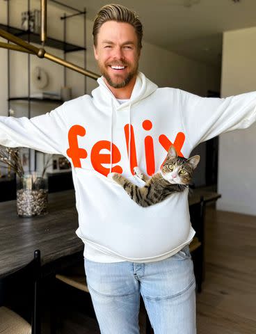 <p>Felix Cat Insurance</p> Derek Hough