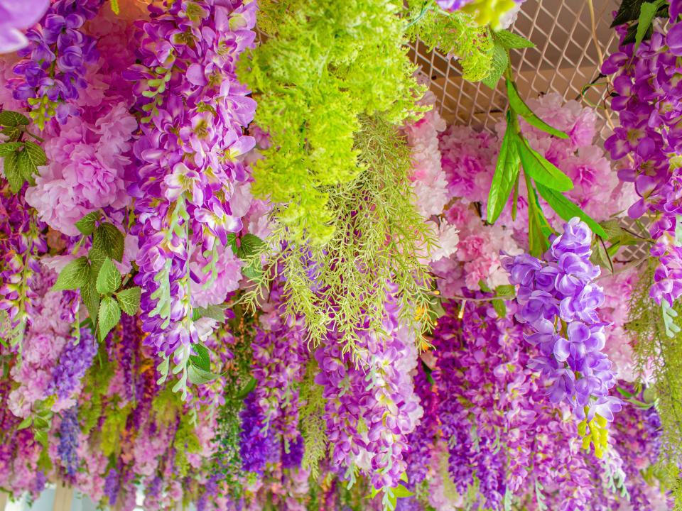 Pink and purple flowers hang from a ceiling