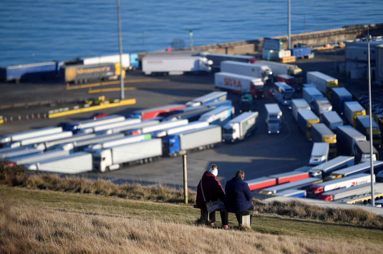 A couple of walkers view lorries queueing to pass through border and security checks as they arrive by ferry from France at the Port of Dover, Britain, February 14, 2019. REUTERS/Toby Melville