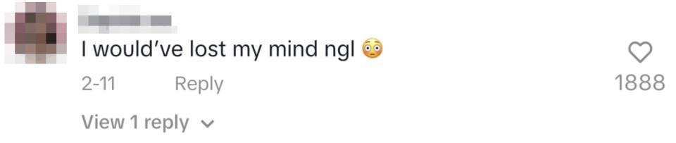 A TikTok comment that reads, "I would've lost my mind ngl"