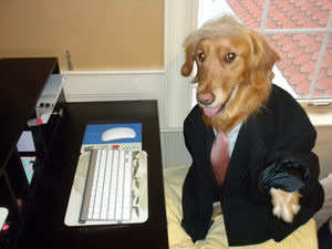 No treats? You're fired!