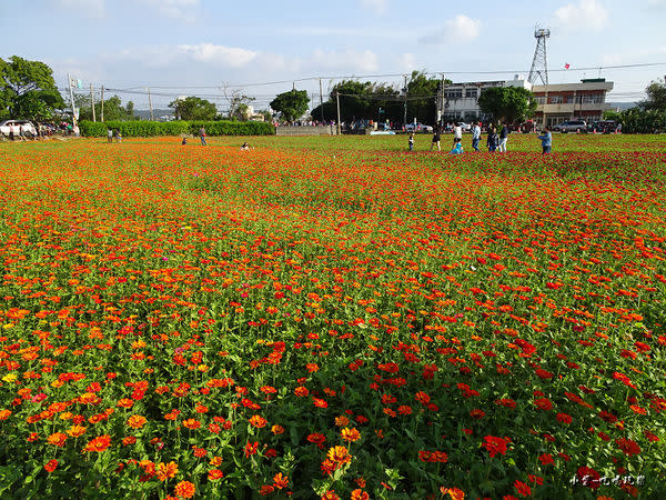 桃園花彩節-楊梅場24.jpg