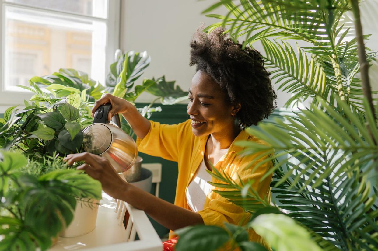 watering plants indoors