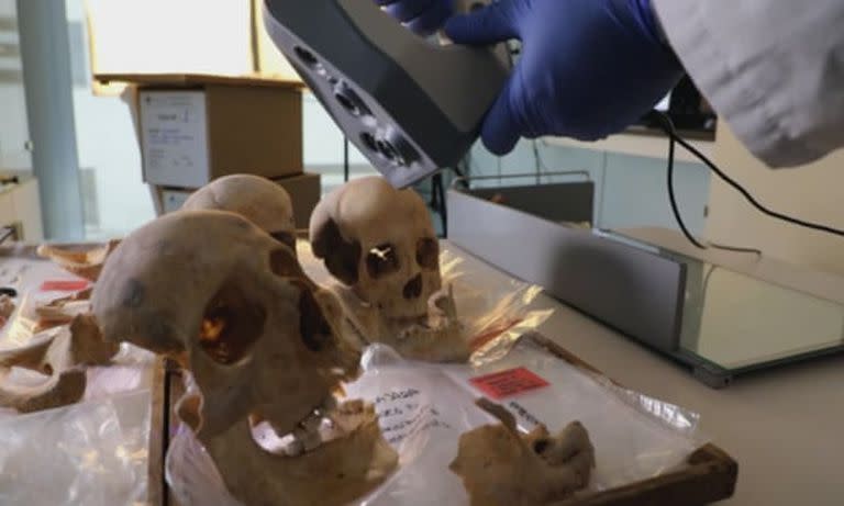 A scientist controls a 3D scanner over the alleged remains of Christopher Columbus and family members, at Granada University, Spain. Photograph: AP