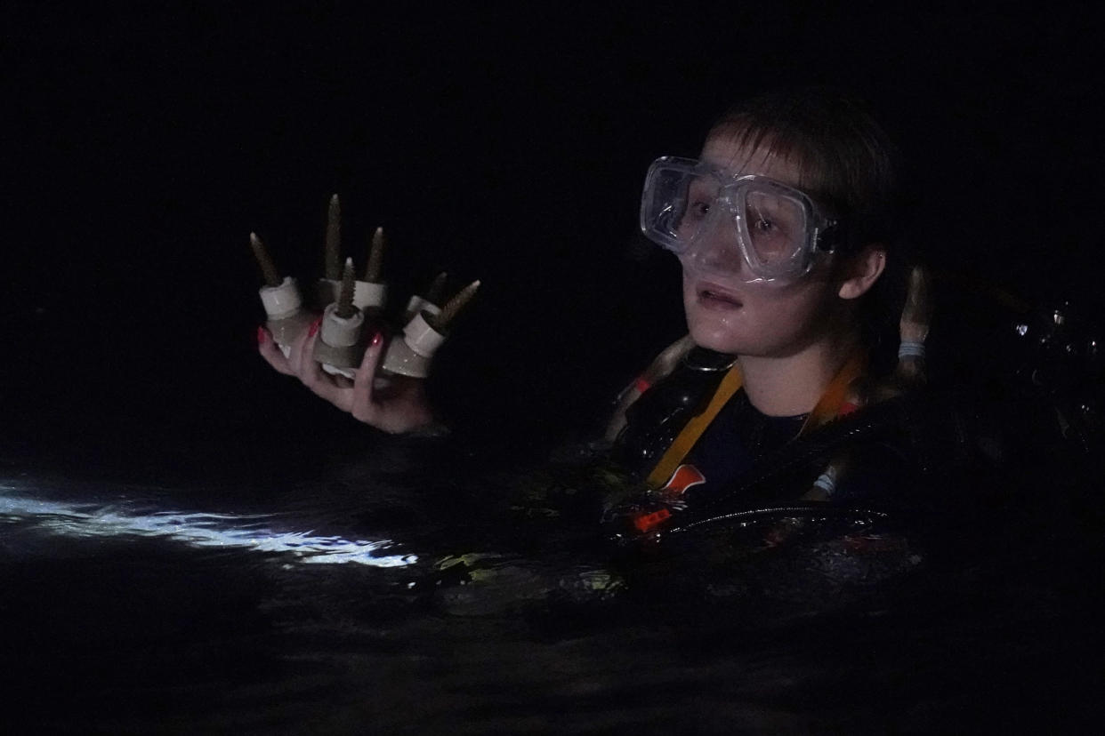 University of Miami's Rosenstiel School of Marine & Atmospheric Science student Avery Boals, 21, waits for a fellow diver so they can attach pieces of coral to a reef during night dive to check on coral spawning, Monday, Aug. 15, 2022, in Key Biscayne, Fla. A group of students and scientists were hoping to observe the coral spawn and collect their eggs and sperm, called gametes, to take back to the lab to hopefully fertilize and create new coral that will later be transplanted to help repopulate part of the Florida Reef Tract. (AP Photo/Wilfredo Lee)