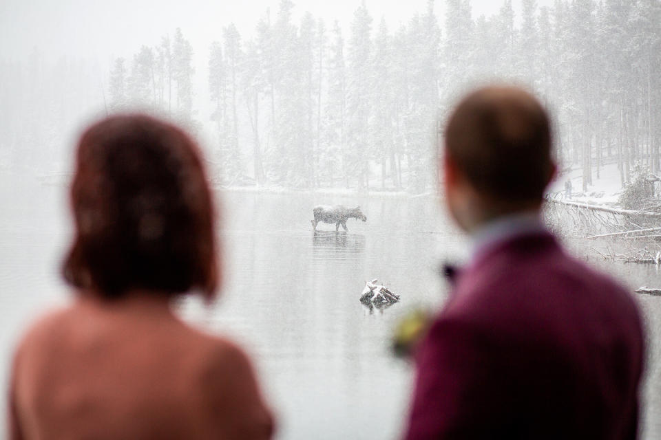 The bride and groom were mesmerized by the beautiful creature.&nbsp; (Photo: <a href="https://www.sarahgoffphotography.com/" target="_blank">Sarah Goff Photography</a>)