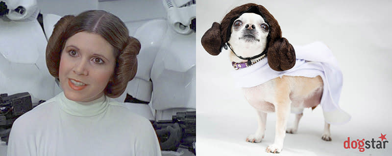 It’s Princess Leia of course