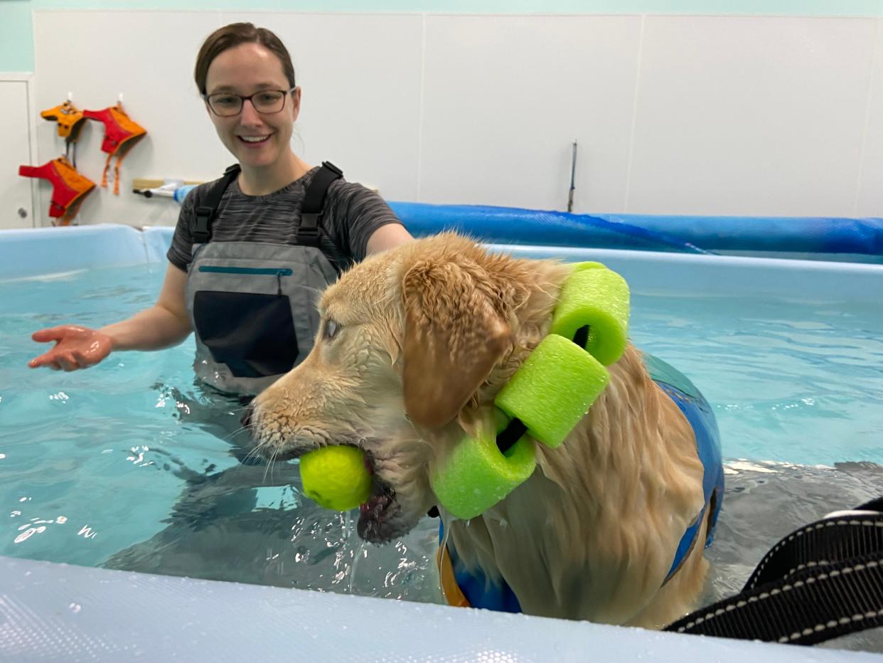 Rachel Smitton during a swim session with Annabelle on Tuesday, March 26, 2024, at Augusta K9 Center in Staunton. Annabelle has three legs and bilateral hip dysplasia; the swimming is a good low-impact exercise that helps with muscle strengthening and mobility.