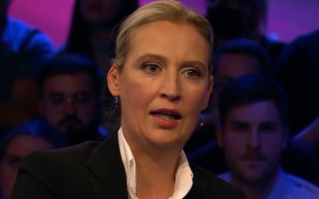 "Was Sie hier betreiben, ist kollektive Selbstschädigung", warf Alice Weidel der Bundesregierung vor. (Bild: ARD)