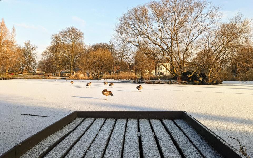 The scene at Clapham Common on Greg's early morning wander - Greg Dickinson