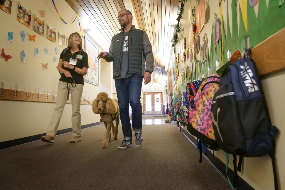 In this Wednesday, Nov. 6, 2019, photo, Paws of Assitance Loving Support volunteer, Pam Frank, left, and "Rudy," a support dog, are escorted by school principal, Jeff Franey to different classrooms at Healdsburg Elementary School in Healdsburg Calif. The children were greeted by Rudy on their first day back to school since the Kincade Fire. Many of the children suffer from PTSD due to the frequency of the fires in the area. (AP Photo/Lacy Atkins)