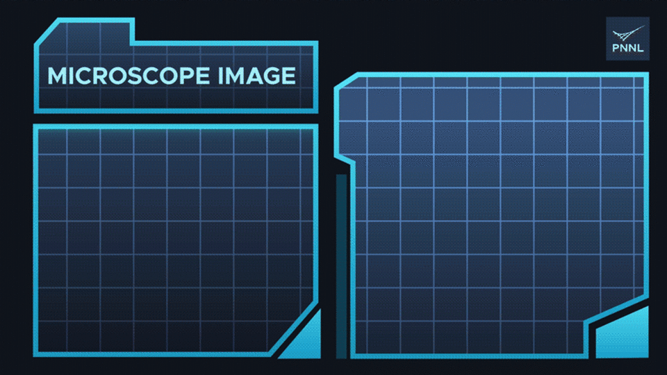 When the PNNL-developed model analyzes an image of a material from an electron microscope (left), it divides the image into “chips,” which are then sorted into a network graph of “communities” (right) based on the chips’ similarities to one another. This allows automatic classification of shared material properties and regions in the original image (left).