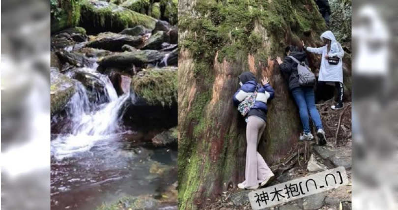 蔡依林在另一則動態分享爬山、抱神木的照片。（圖∕翻攝自jolin_cai IG）