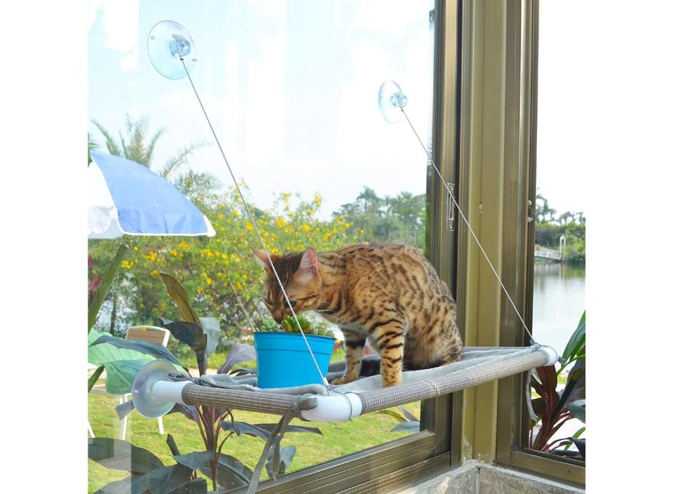 Your kitty can enjoy all the outdoor sights without ever having to leave the house thanks to this window perch. (Source: Amazon)