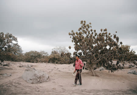 Renato Cortez looks for his family at an area affected by the eruption of the Fuego volcano at San Miguel Los Lotes in Escuintla, Guatemala June 6, 2018. Picture taken June 6, 2018. REUTERS/Carlos Jasso