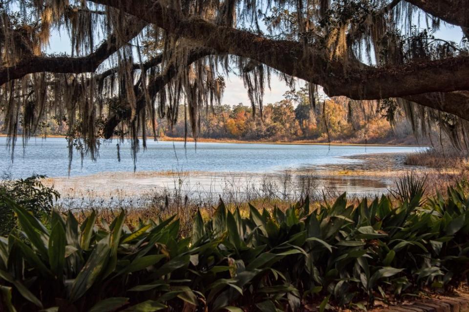 Maclay Gardens State Park via Getty Images