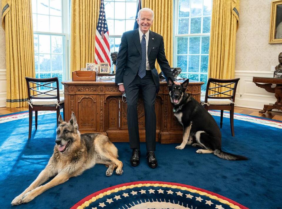 President Joe Biden, Champ, Major