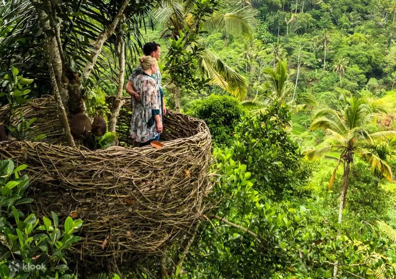 Ubud All-Inclusive Private Day Tour. (Photo: Klook SG)